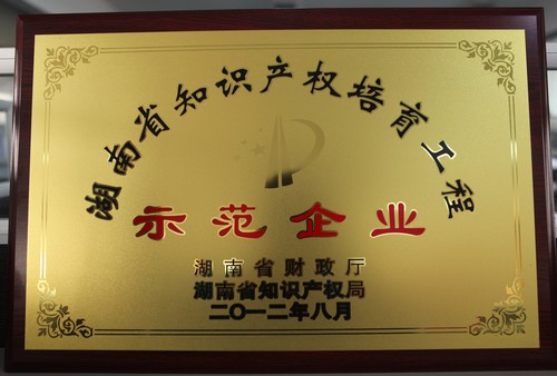 湖南省知識產(chǎn)權培育工程師范企業(yè)2012.8