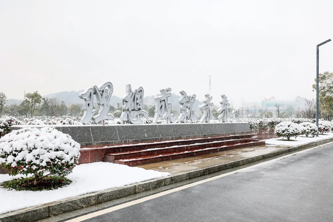 瑞雪兆豐年，邀您共賞雪中山河！