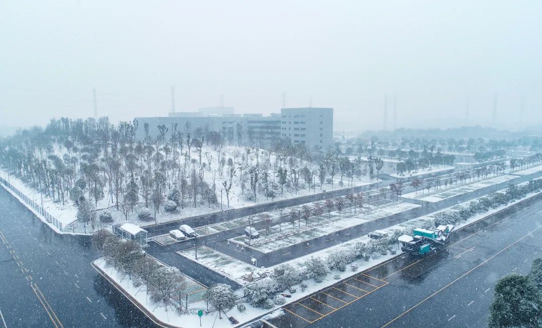 瑞雪兆豐年，邀您共賞雪中山河！